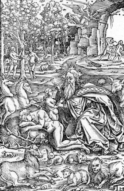 The Creation of Eve, from The Luther Bible, 1550 by Hans Brosamer
